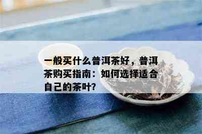 一般买什么普洱茶好，普洱茶购买指南：如何选择适合自己的茶叶？