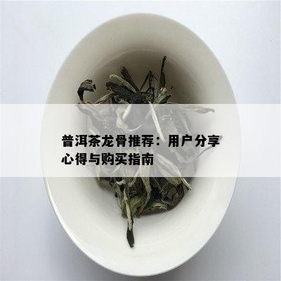 普洱茶龙骨推荐：用户分享心得与购买指南