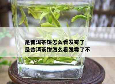 是普洱茶饼怎么看发霉了-是普洱茶饼怎么看发霉了不