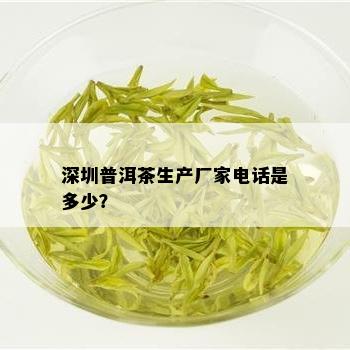 深圳普洱茶生产厂家电话是多少？