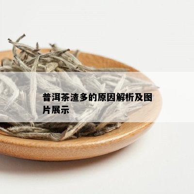 普洱茶渣多的原因解析及图片展示