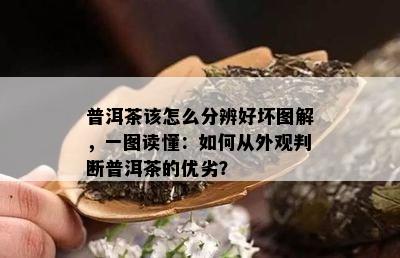 普洱茶该怎么分辨好坏图解，一图读懂：如何从外观判断普洱茶的优劣？