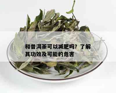 和普洱茶可以减肥吗？了解其功效及可能的危害