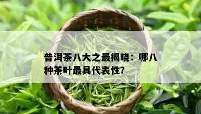 普洱茶八大之最揭晓：哪八种茶叶更具代表性？