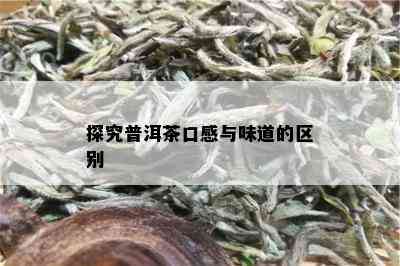 探究普洱茶口感与味道的区别