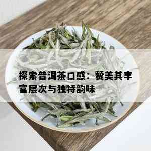 探索普洱茶口感：赞美其丰富层次与独特韵味