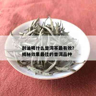 刮油喝什么普洱茶最有效？揭秘效果更佳的普洱品种