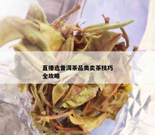 直播选普洱茶品类卖茶技巧全攻略