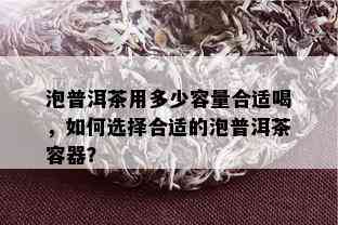 泡普洱茶用多少容量合适喝，如何选择合适的泡普洱茶容器？