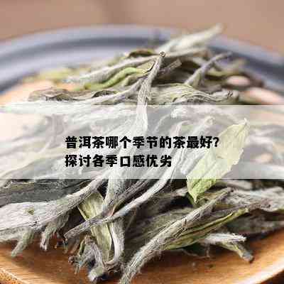 普洱茶哪个季节的茶更好？探讨各季口感优劣