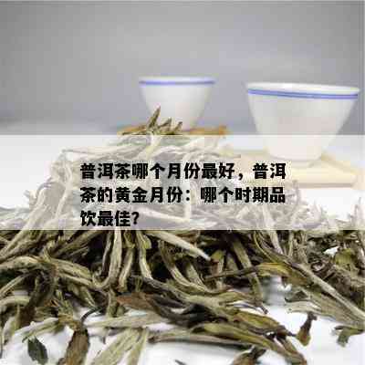 普洱茶哪个月份更好，普洱茶的黄金月份：哪个时期品饮更佳？