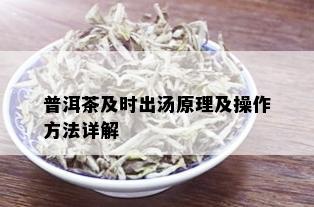 普洱茶及时出汤原理及操作方法详解