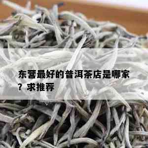 东营更好的普洱茶店是哪家？求推荐