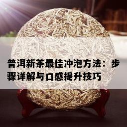 普洱新茶更佳冲泡方法：步骤详解与口感提升技巧