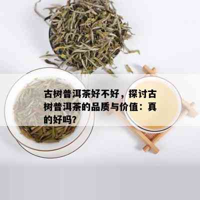 古树普洱茶好不好，探讨古树普洱茶的品质与价值：真的好吗？