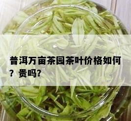 普洱万亩茶园茶叶价格如何？贵吗？