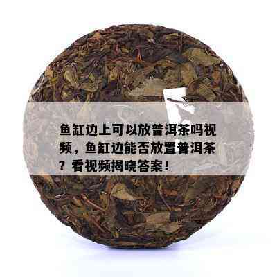 鱼缸边上可以放普洱茶吗视频，鱼缸边能否放置普洱茶？看视频揭晓答案！