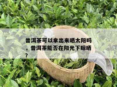 普洱茶可以拿出来晒太阳吗，普洱茶能否在阳光下晾晒？