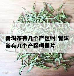 普洱茶有几个产区啊-普洱茶有几个产区啊图片