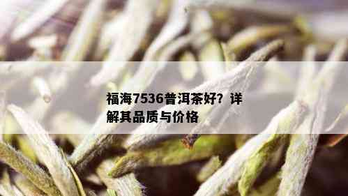 福海7536普洱茶好？详解其品质与价格