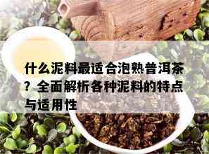 什么泥料最适合泡熟普洱茶？全面解析各种泥料的特点与适用性