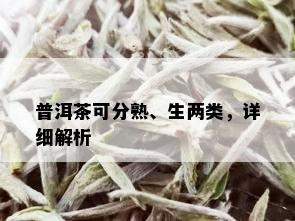 普洱茶可分熟、生两类，详细解析