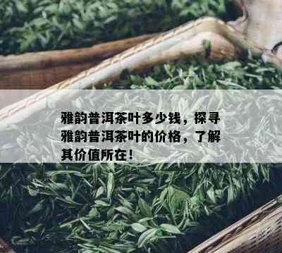 雅韵普洱茶叶多少钱，探寻雅韵普洱茶叶的价格，了解其价值所在！