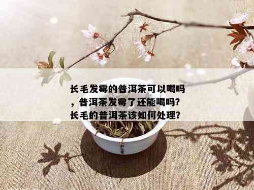 长毛发霉的普洱茶可以喝吗，普洱茶发霉了还能喝吗？长毛的普洱茶该如何处理？