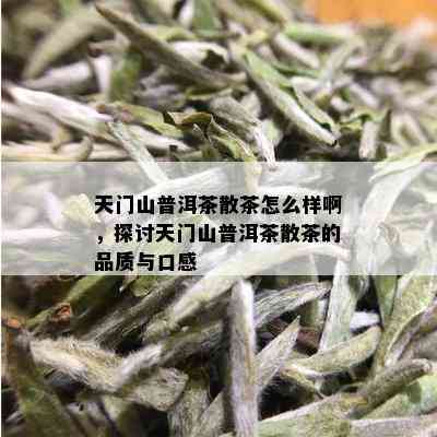 天门山普洱茶散茶怎么样啊，探讨天门山普洱茶散茶的品质与口感