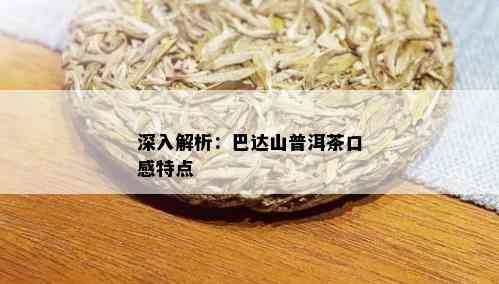 深入解析：巴达山普洱茶口感特点