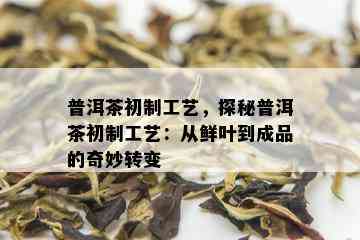 普洱茶初制工艺，探秘普洱茶初制工艺：从鲜叶到成品的奇妙转变