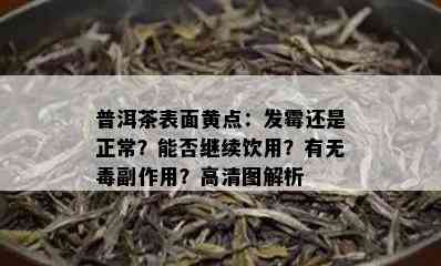 普洱茶表面黄点：发霉还是正常？能否继续饮用？有无副作用？高清图解析