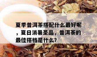 夏季普洱茶搭配什么更好呢，夏日消暑圣品，普洱茶的更佳搭档是什么？