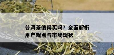 普洱茶值得买吗？全面解析用户观点与市场现状