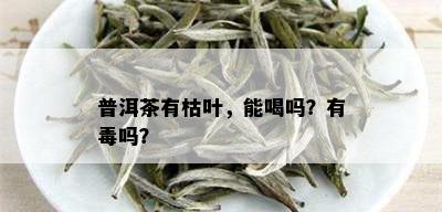 普洱茶有枯叶，能喝吗？有吗？