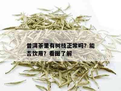 普洱茶里有树枝正常吗？能否饮用？看图了解