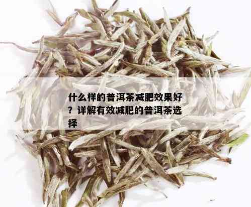 什么样的普洱茶减肥效果好？详解有效减肥的普洱茶选择