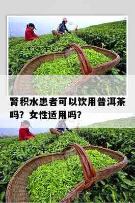 肾积水患者可以饮用普洱茶吗？女性适用吗？