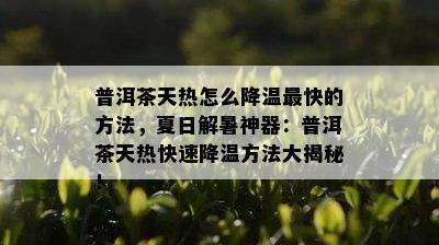 普洱茶天热怎么降温最快的方法，夏日解暑神器：普洱茶天热快速降温方法大揭秘！