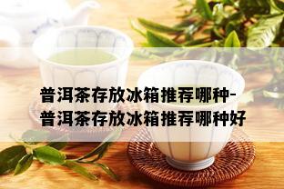 普洱茶存放冰箱推荐哪种-普洱茶存放冰箱推荐哪种好