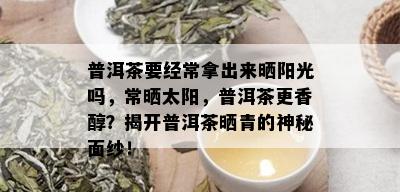 普洱茶要经常拿出来晒阳光吗，常晒太阳，普洱茶更香醇？揭开普洱茶晒青的神秘面纱！