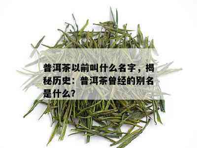 普洱茶以前叫什么名字，揭秘历史：普洱茶曾经的别名是什么？