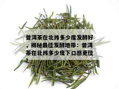 普洱茶在北纬多少度发酵好，揭秘更佳发酵地带：普洱茶在北纬多少度下口感更佳？