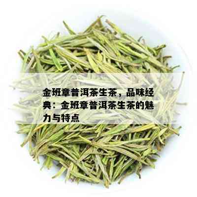 金班章普洱茶生茶，品味经典：金班章普洱茶生茶的魅力与特点