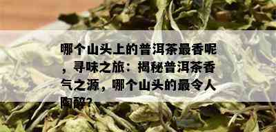 哪个山头上的普洱茶最香呢，寻味之旅：揭秘普洱茶香气之源，哪个山头的最令人陶醉？