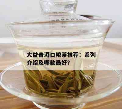 大益普洱口粮茶推荐：系列介绍及哪款更好？