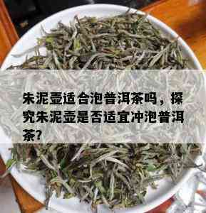 朱泥壶适合泡普洱茶吗，探究朱泥壶是否适宜冲泡普洱茶？