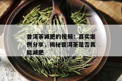 普洱茶减肥的视频：真实案例分享，揭秘普洱茶是否真能减肥