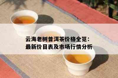 云海老树普洱茶价格全览：最新价目表及市场行情分析