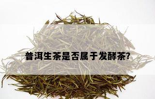 普洱生茶是否属于发酵茶？